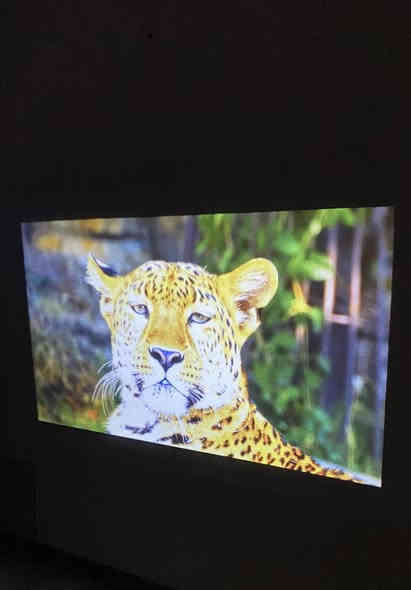 داتا شو Yuzino دقه 1080p حقيقي
مع امكانيه دعم دقه 4k 
تنربط مع جميع الاجهزه و الهواتف 
نظام صوت ستيرو 
تتوفر خدمه توصيل جميع المحافظات 
***********
