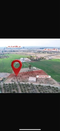 شيخ باز أربيل • ١ دونم • زيتون دفيئة ٢٥٠م