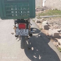 جني • مرقم • سنوية