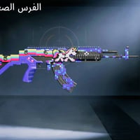 حساب ببجي • لفل80 • مجموعات60