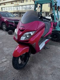 فورزا • اوراق كاملة • معدل 160