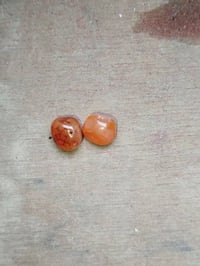 خرز • مجربات • محابس