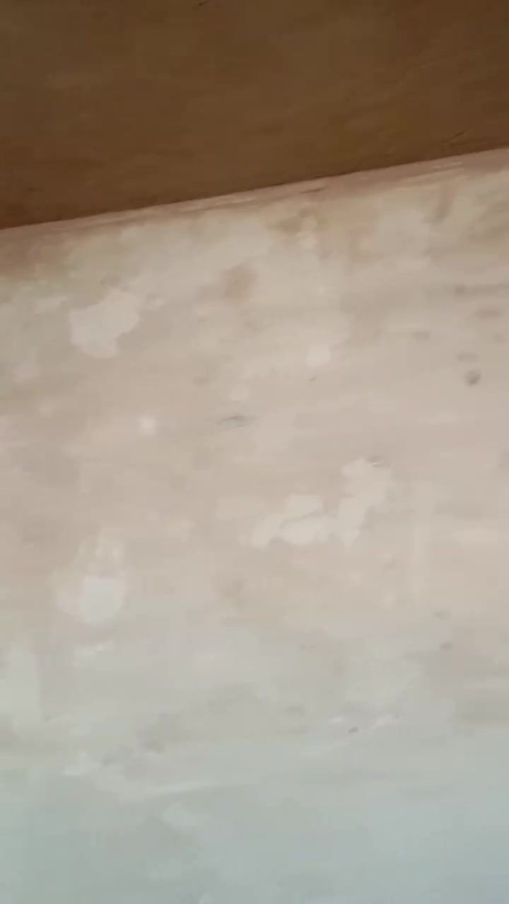 لبخ جص وبورك ٧ المتر سمنت جراره نثر سقل يوميه عادي 
داخل كربلاء فقط متفرق


**إذا كنت صاحب هذا الإعلان وتريد حذفه لأي سبب، رجاءا أرسل رسالة إلى الدعم الفني**