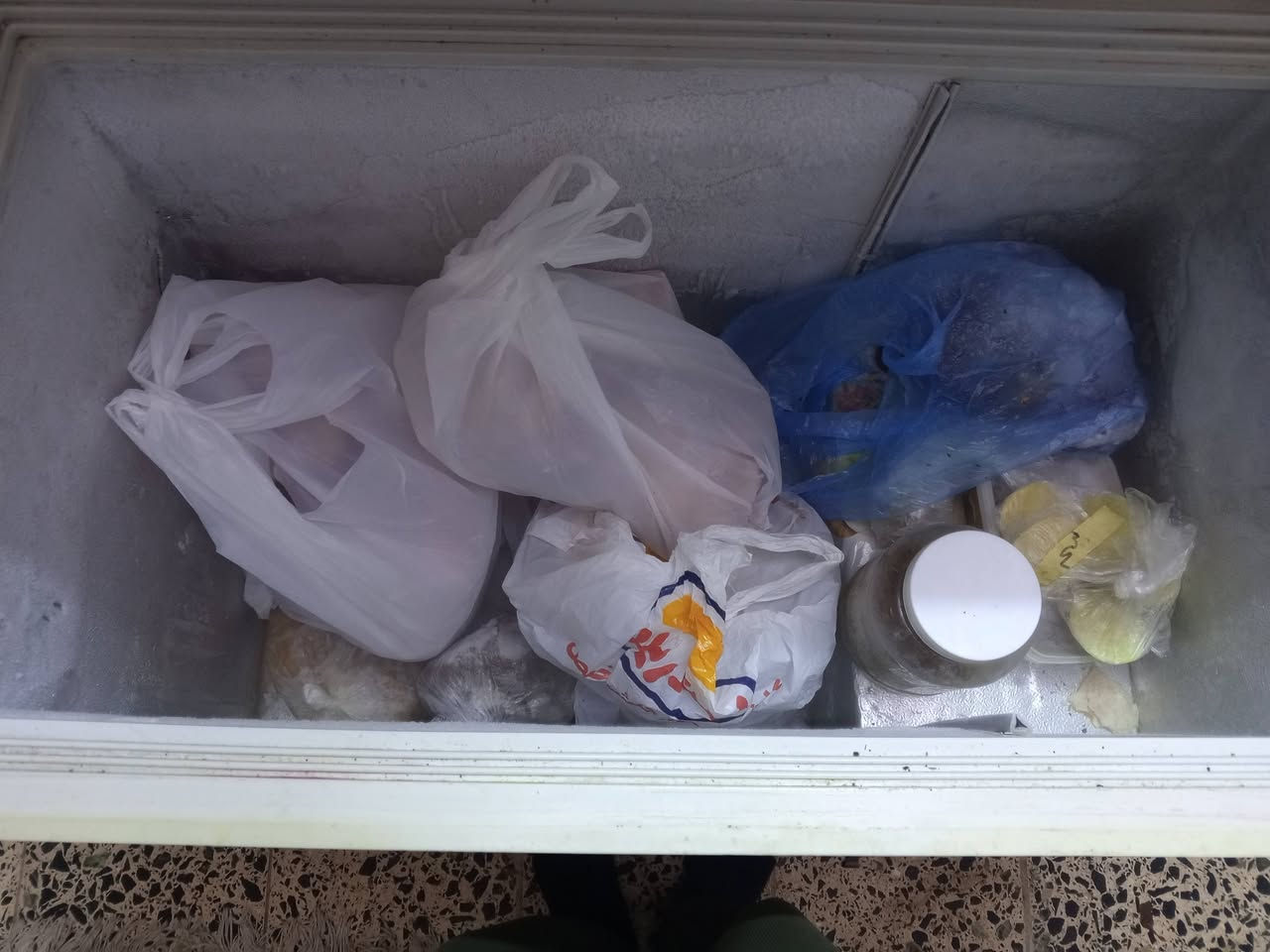 مجمدة نظيفة تجميد زين للبيع سعر 60 
وثلاجة كونكورد نظيفة  سعر 150
بيهن مجال بسيط 
المكان  / بغداد الشعب 
تواصل واتساب على الرقم ***********
