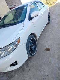 كورلا امريكي • كير • الفلوجه