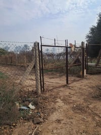 قرب باب السور • ٥٠٠م • سند زراعي