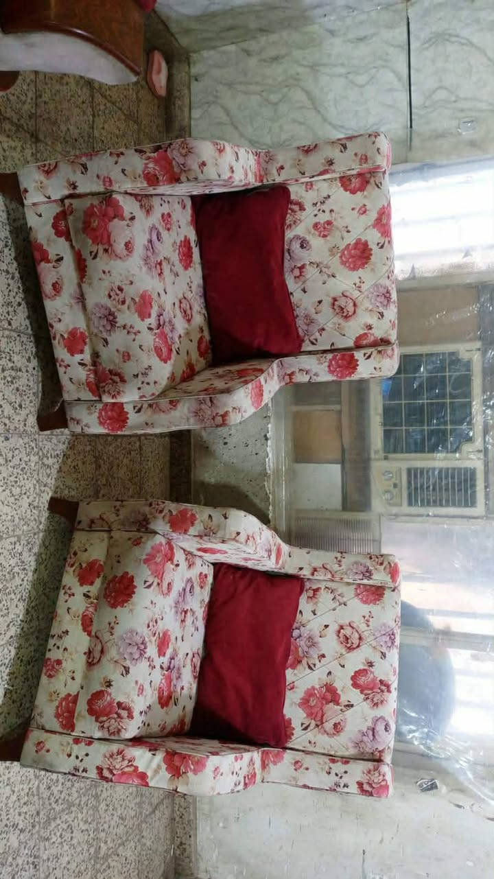 السلام عليكم اتخامه درجه اولى أسعار مناسبه المشمشي 375 التخم الموروني 300 ابلي جديد نظافه فول السعر 500 التواصل مع صاحب الرقم مكلف بلنشر  ***********
