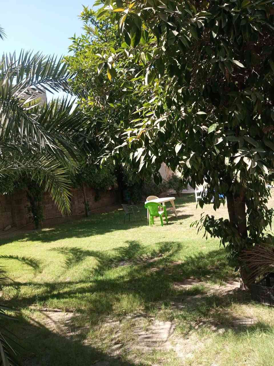 السلام عليكم ...
دار للبيع في بغداد منطقة شاطئ التاجي، مساحته 450 متر  مطل على الشارع يحتوي طابقين الطابق الاول الخارجي يحتوي على حديقة وكراج كبير وتواليت خارجي،
 والداخلي يحتوي على صاله استقبال وحولي ومطبخ وغرفه نوم واحدة  وحمامات، والطابق الثاني يحتوي على 3 غرف منام. ومن ضمن البيت محل على الشارع... السعر 400 مليون 
باقي الاستفسار على الرقم/ ***********
