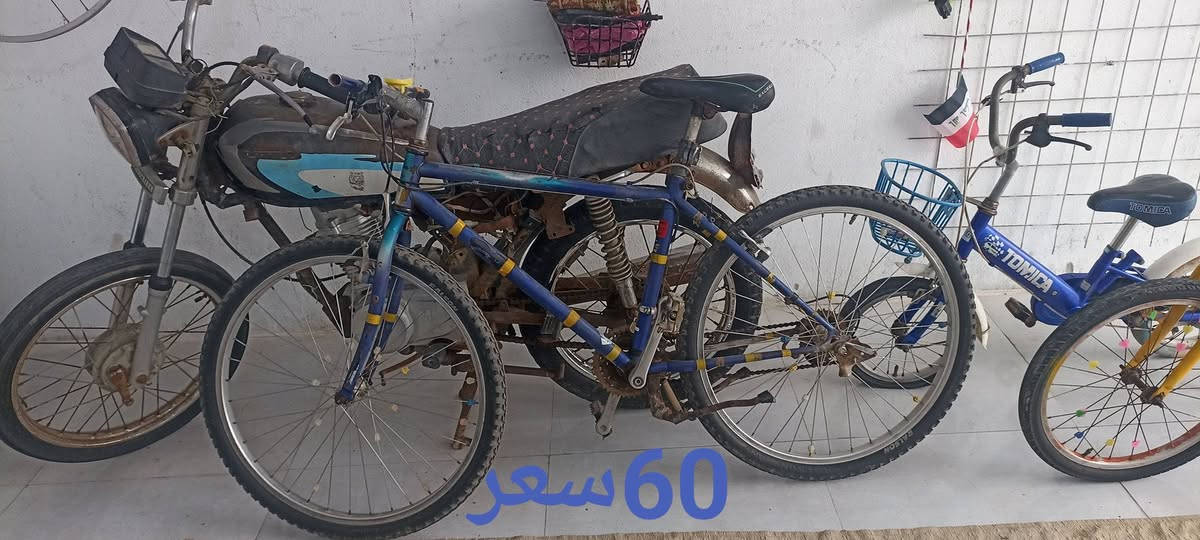 للبيع اني مكلف بنشر الي يريد يتواصل ويه صاحبهن يتصل علئ رقم ***********
