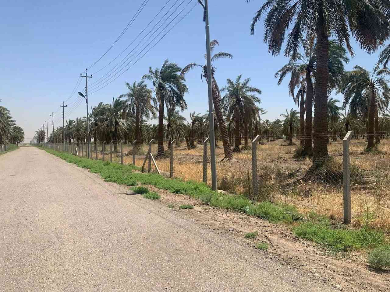 البيع ارض ١٠٤٣ دونم طابو زراعي سند ٢٥ تحتوي على شاطيتين الشاطية الأولى تحتوي على مضخة ماء و مجرى الشاطية الثانيه   تحتوي على مضخة ماء و مجرى مع دار مع بستان ال ١٠٠٠ مسيج تبليط مع مجاري مع ماء اسالة مع ماء سقي كهرباء كل ١٠٠٠ تحتوي على بستان ٢٠٠ دونم برحي تحتوي على بحيرات ١٠٨ دونم مجازة ال٢٠٢٦ موافق سحب ماء سقي من ٥ مساء ال ه صباحا تبليط ١٠٠٠ دونم الى نهاية المزرعة مع انارة كلها في قضاء العزيزية ابيع كلها سعر الدونم 19مليون بي مجال بسيط
***********
‏‪***********‬‏
