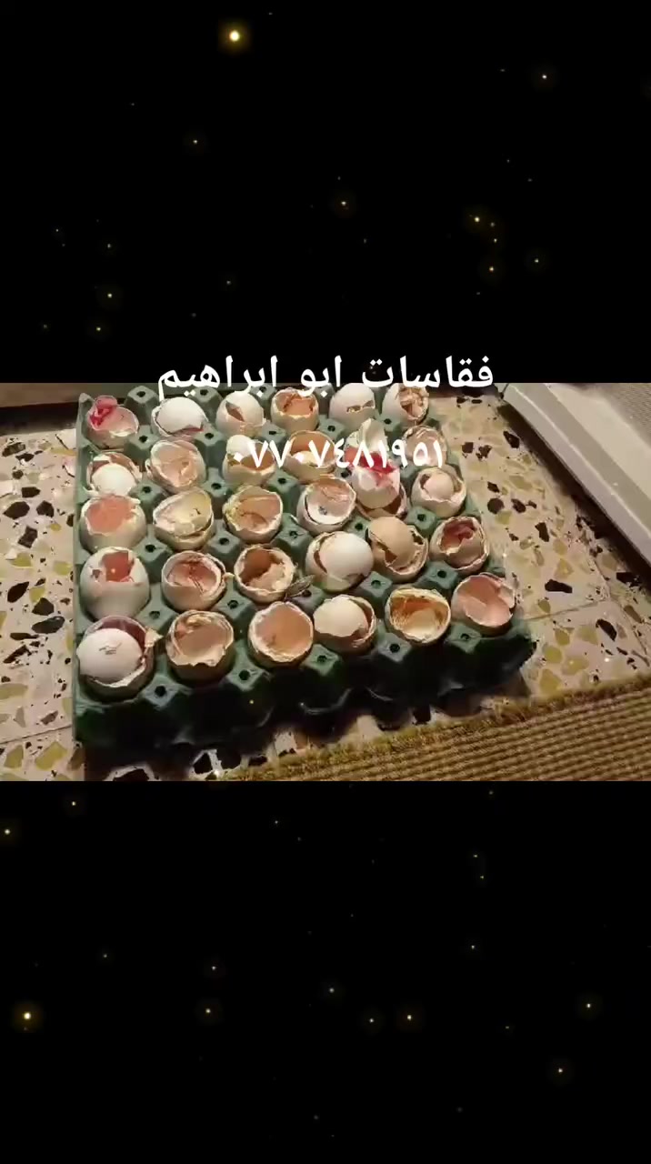 ألهم صلي ع محمد وآل محمد متاح فقاسات حسب سعه وطلب مواصفات فقاسه ألمنيوم تركي بنل عازل حراره تركي جهاز zl شامل يتحكم بل حراره والرطوبه والتقليب فول اوتماتيك جميع فقاسات جوكر تأخذ، جميع أنواع البيض، بط وز دجاج سمان طاوس فسيفس قبج أسعار حسب حجم سعه تشمل أجور توصيل
فقاسه ١٤٠ بيضه سعر ٢٥٠
فقاسه٢١٠بيضه سعر٣٠٠
فقاسه٢٨٠ بيضه سعر٣٥٠
فقاسه٣٥٠ بيضه سعر٤٥٠
فقاسه٤٢٠بيضه سعر٥٠٠
فقاسه٥٢٠بيضه سعر ٦٠٠
 التواصل واتس رقم ***********
