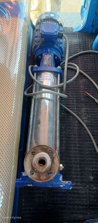 عمودي للبيع 3ونص حصان الوعد الوارهLowara ايطالي رقم 07889613249