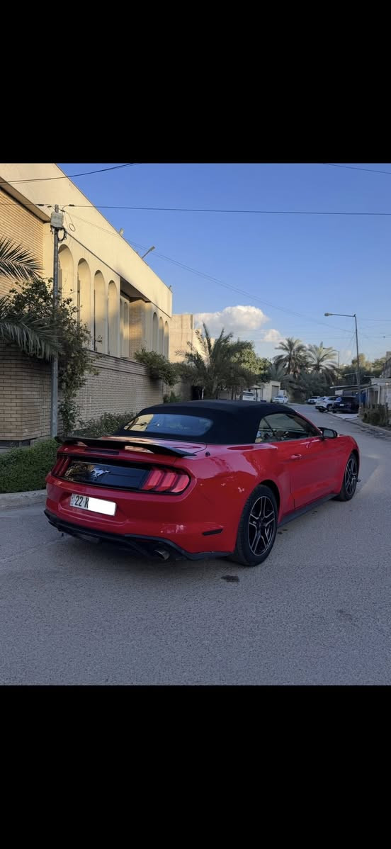 السلام عليكم
Mustang Premium 2022 1/1
ايكوبوست بجم كبس 
رقم اربيل باسمي
موصفات 
كشف
بصمه 
ترحيب 
تشغيل عن بعد 
كشنات تدفئه
كشنات تبريد 
سترين تدفئه  
وضعيات قياده
رادار امامي 
رادار جانبي نقط عمياء 
حساسات اماميه 
حساسات خلفيه 
شاشه كبيره 
وبعد بيها موصفات فول موصفات اعلى شي السياره 

سياره جديده بمعنى الكلمه محرك كفاله كير كفاله صدرها كهربائياتها تخم تاير جديد تبريد ثلج سياره كفاله بوضع شركه ادامه على المحرك من زيوت وفلاتر وبلكات 

طختها باب السايق والجاملغ وره السايق والباقي كله كفاله ونفسه مصلح يعني سياره بيها صبغ جاملغ خلفي وباب السايق والباقي كله كفاله سياره بجم كبس سياره مناسبه وحلوه مقارنه بالسيارات الي بيهم بجم وخمس قطع شوف السوك يلا تعلق وتخابر 🤍

رايدها ب166 ورجاء مو شراي لتعلق وتعبني كلمه طيبه منك واعبر المنشور حبيبي انت🤍
للاستفسار ***********
مكاني بغداد الوزيرية
