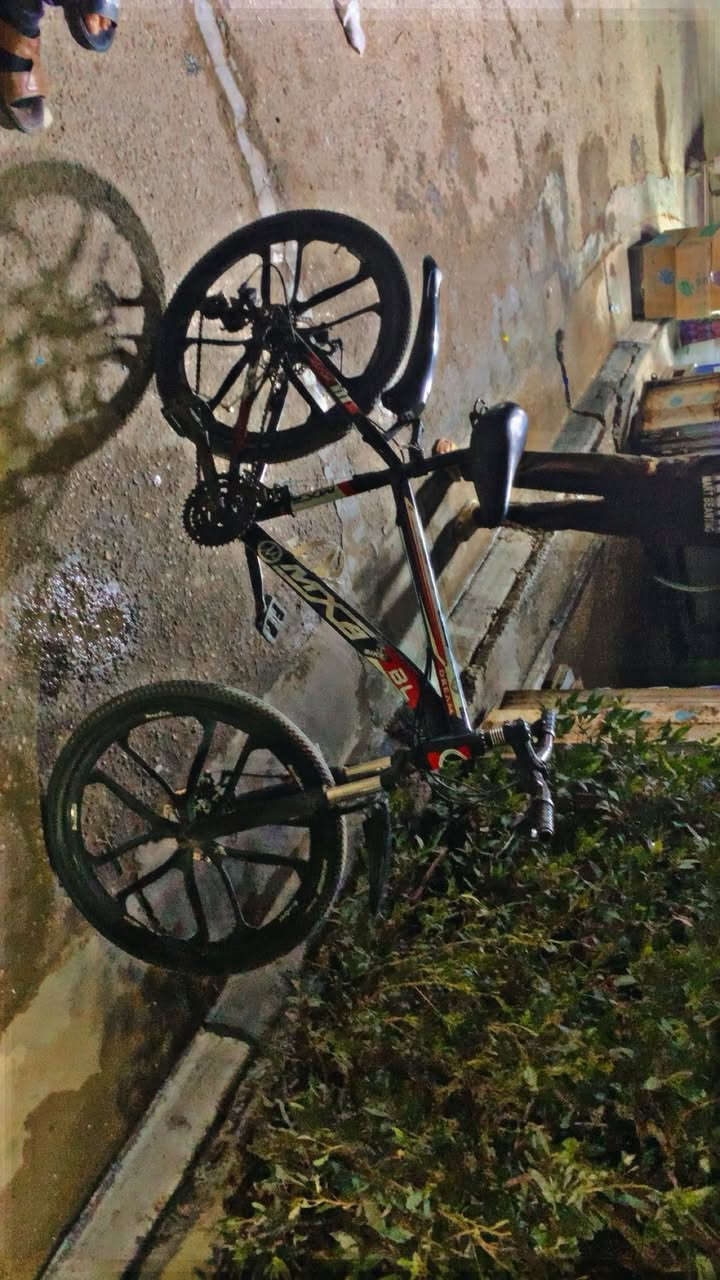 السلام عليكم 
شبابنا الطيبة 
بايسكل  للبيع 
السعر ٨٠ أو بي مجال للشراي فقط
رجاءً إذا مو شراي لتتعامل
مكاني بغداد البلديات قرب تقاطع الكهرباء 

للتواصل فقط واتساب
***********
