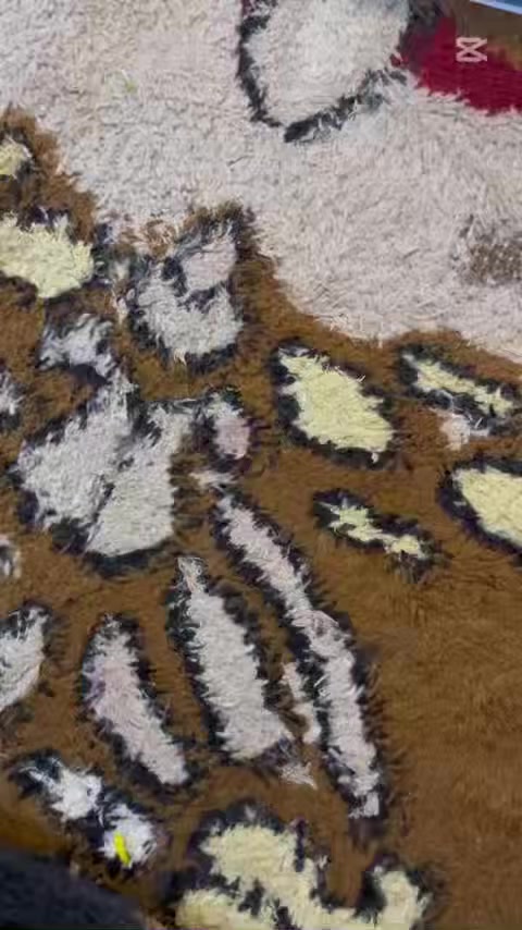 السلام عليكم شلعة اقلام ايباد اول تم ٥٥ السعر ثابت لا يشمل التوصيل نضام البيع شلع فقط


**إذا كنت صاحب هذا الإعلان وتريد حذفه لأي سبب، رجاءا أرسل رسالة إلى الدعم الفني**