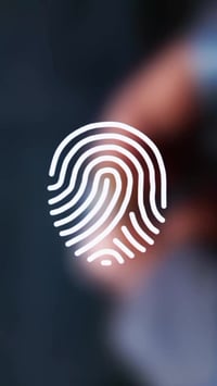 خبير مجوهرات • أحجار كريمة • السودان