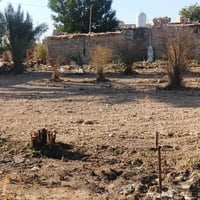 قطعه ارض البيع المساحه 500 قرب الجسر الفرنسي زراعي عقد 117 ماء كهربأ ك...