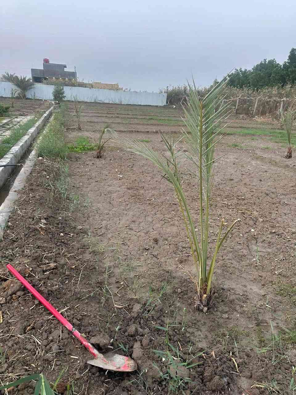مزرعه للبيع موقع مميز
زراعي 

مساحه دونم مربع 

كافه الخدمات 

ماء اساله

ماء سقي 

مجاري

كهرباء 

مولد

تحتوي ع كرفان متكامل 

شارع 10 متر سبيس 

تبعد عن الشارع التبليط 500 متر 

العنوان اسديناويه طريق السياحي 

نزله ديوان طي 

سعر 160 وقابل للتفاوض 
***********
