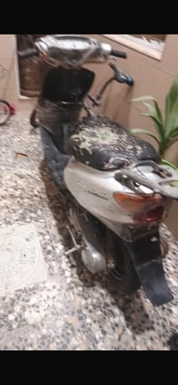 عصفوريه • دراجة نارية • ياماها • للبيع • موتوسيكل