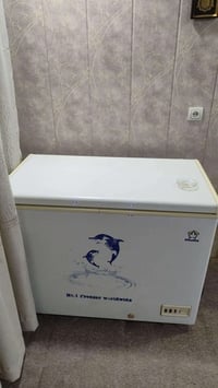 مجمدة • شغالة • الحلة ش60