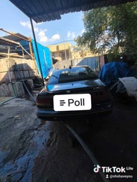 برنس • ١٩٩٥ • مكفول