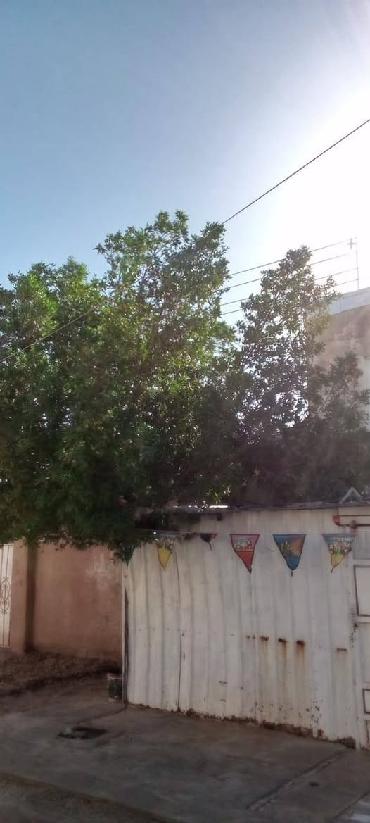 بيت للبيع في حي الرحمه الأول محافظة ميسان طريق الطيب مية متر مربع عشره في عشره طابقين الطابق العلوي غرفتين مع بالكونه الطابق الأرضي غرفتين وصاله كبيره وديوانيه وأسواق وصحيات ومطبخ حار ومطبخ بارد
للتواصل على الرقم  ( ***********  ) بيه واتساب
