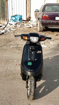 بطة • شهرين • طالعة معرض