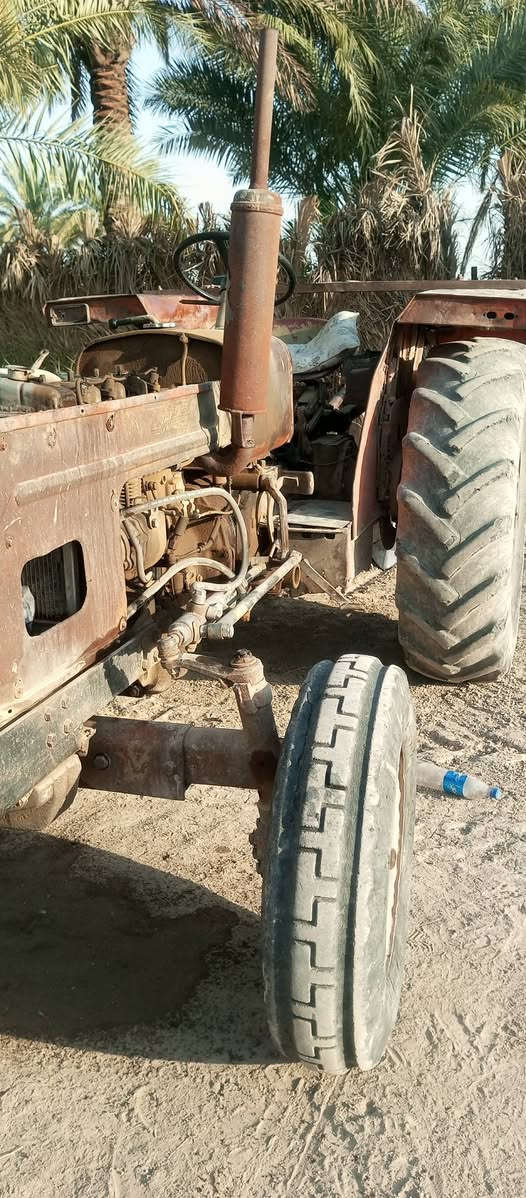عنتر بدون للبيع الاتصال على هذا الرقم ***********
