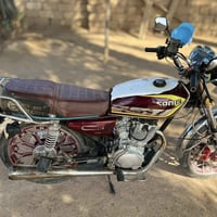 دراجة سيفان • ٢٠٢٤ • فول أوراق