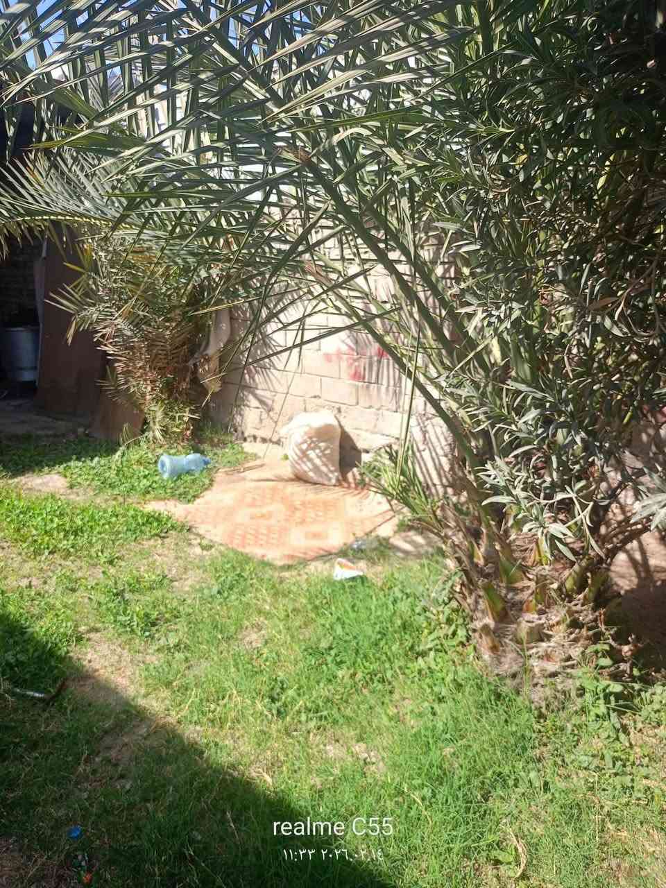 ياالله يازراق بيت للبيع المساحة الكليه 300 متر على ساحه حي  الامام  منطقة خويلد يتكون من استقبال وغرقيتين ومطبخ وصحيات خارجية وحديقة كافة الخدمات موجوده ماء كهرباء  تبليط ارصفه مجاري مدارس جامع  الأرض ماليه ومشموله بالتطويب البيوت كلها مرقمه وبي وصل من البلديه قريب على الامام الحمزه  للاسفسار ومعرفة التفاصيل والسعر  مراسلة الصفحة أو الاتصال الأرقام  ***********
