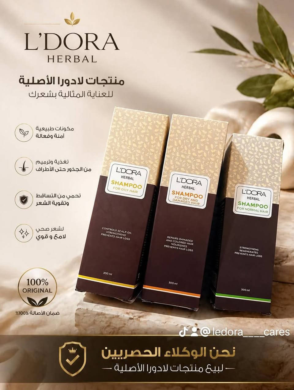 شامبو للشعر بمكونات طبيعيه ♥️🌿
توفر حسب نوع فروه الرأس 
شامبو للشعر من اليدورا الغني عن التعريف حرفيا وأكثر ✨♥️..
..
#علامه_تجاريه 
#ليدورا_العنايه_بالشعر_والبشرة 
#سبحان_الله 
#اكسبلور_العراق_السعوديه_الاردن_ايران_الكويت_طق_لايكات_كومنت_يلاا 
#عنايه


**إذا كنت صاحب هذا الإعلان وتريد حذفه لأي سبب، رجاءا أرسل رسالة إلى الدعم الفني**