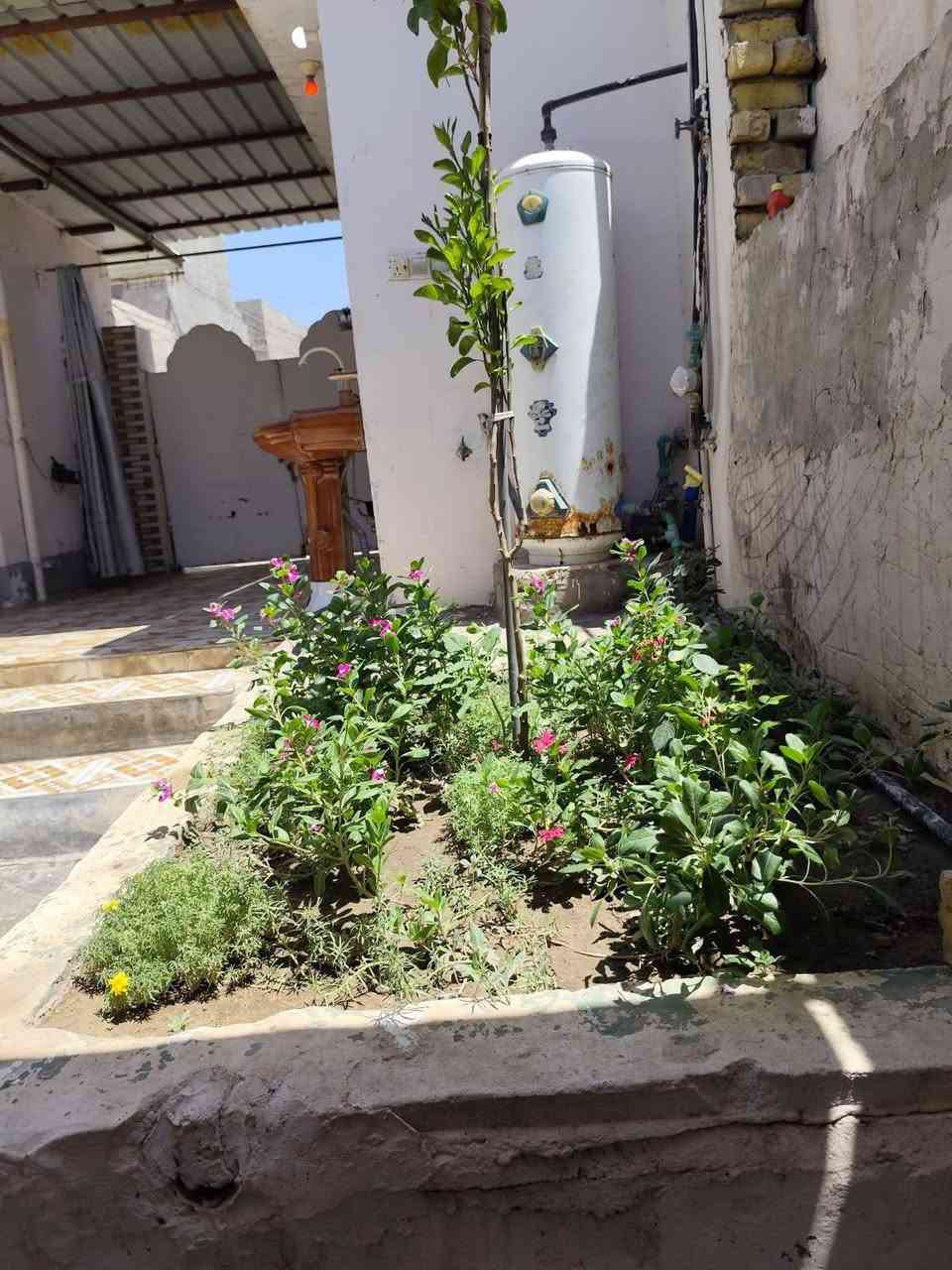 دار للبيع طابو زراعي سند 25 باسم صاحب الدار مباشر
المساحة 250 م 

يتكون غرفتين نوم استقبال هول مطبخ مجمع صحيات بيت مرتب ونظيف ويصلح لعائلة كبيرة 

كافة الخدمات متوفرة تبليط ماء كهرباء مولد شارع مدرسة الهدف مستوصف 

السعر مناسب جداا نقد بدون اقساط 

***********

#عقار

#عقارات_العراق

#عقار_العراق

#بيع_وشراء_العقارات

#بيوت_للبيع

#بيت_للبيع

#اراضي_للبيع

#قطع_اراضي

#استثمار_عقاري

#سوق_العقار

#دليل_العقارات

#مكتب_عقاري

#وسيط_عقاري

#بيوت_العراق

#اراضي_العراق

#عقارات_بغداد

#عقارات_بابل

#عقارات_الحلة

#طهمازية

#الحلة

#بابل

#مشاريع_سكنية

#بيت_احلامك

#فرصة_استثمارية
