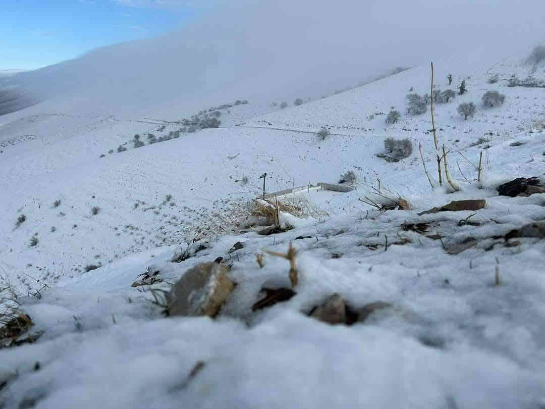 ⬅️رحلة الى #سليمانية ❤️💖💝
برنامج #رأس السنة_كل عام وانتم بألف خير❤️
💧💧برنامج يوم واحد🌏 يوم الاربعاءتاريخ 31\12\2025
✅#️جبل ازمر ثلجي❄️❄️
🟥#مدينة العاب جافي لاند🎡🎢
🟧#مطعم🌭🌭☕️🌮
🟨#هواري شار🎄🎄
🟩#فاملي مول👔👕👖👜🧥🧣👓
🟥#احتفالية يكون في مجدي مول
_ _ ___ _ __ _بسعر (15)الف

⬅️للحجز ولاستفسار او اتصال ارقام التالية
او مراجعة الشركة قرب متوسطة الرشيد
☎️***********
☎️***********
☎️***********
مندوب شركة رحلة يلدآ/طوز
