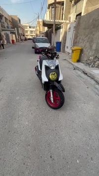 جبلي • ختم واحد • كلجات رياضي