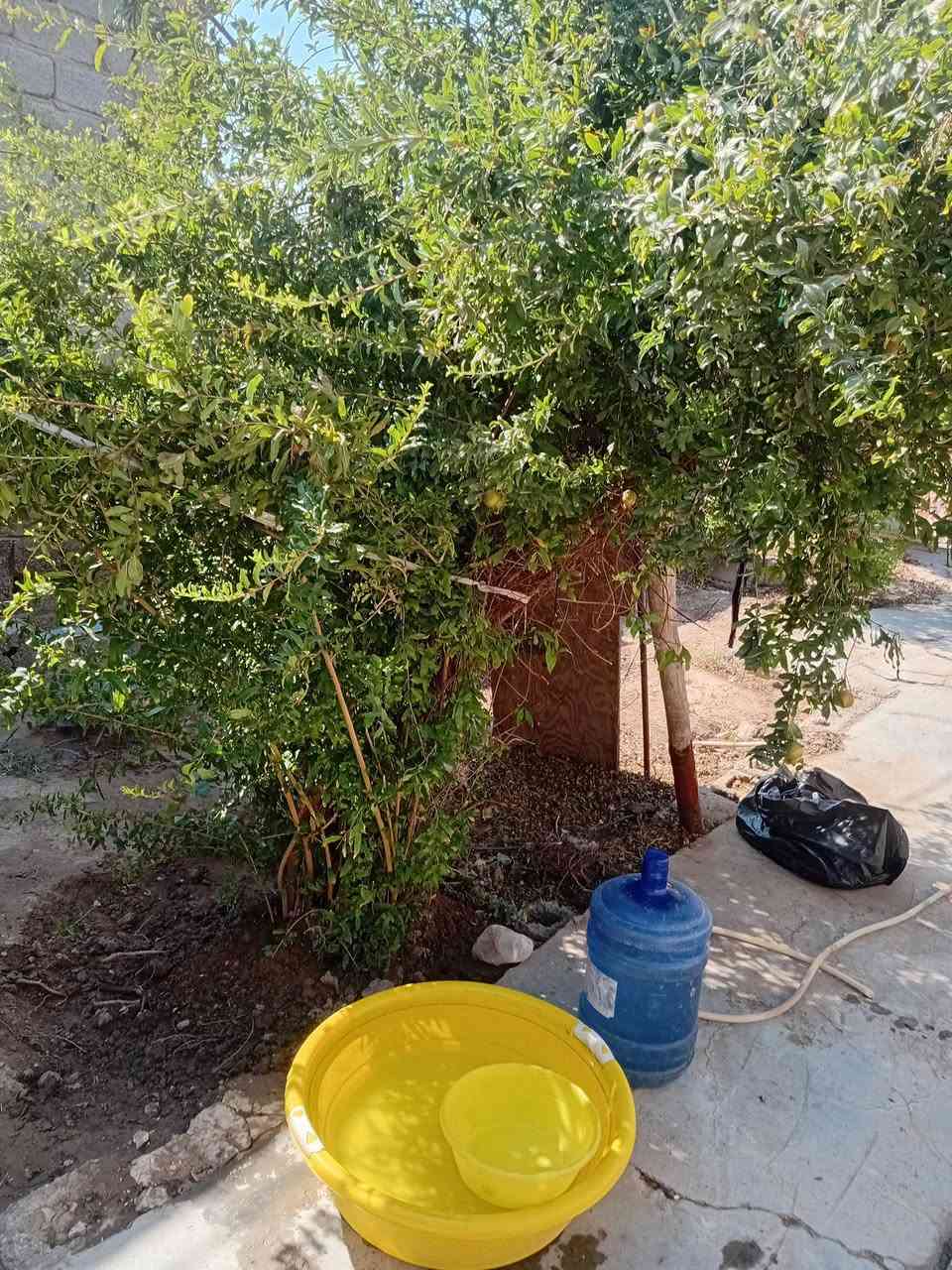 السلام عليكم بيت تجاوز بالمحمودية بدر ع شارع عشرين بيت كبير ونظيف وحديقة ٣ غرف وهول ومطبخ السعر ٢٠ وبي مجال 
للاستفسار ***********
