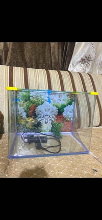 حوض سمك • أكواريوم