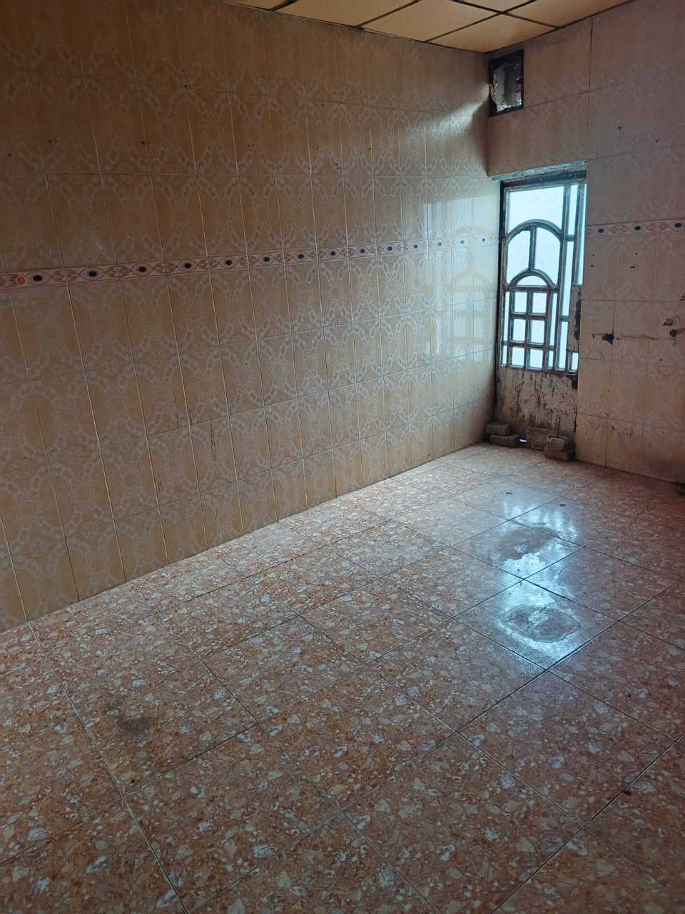 السلام عليكم بيت للأيجار في البصره قضاء الصادق بني منصور مزرعه قرب حسينيه السيد جاسم يتكون البيت من ثلاث غرف ومطبخ وديوانيه وهول وصحيات داخليه وخارجيه مساحة البيت 120متر  الايجار 175 الف شهريا للتواصل الاتصال على الرقم التالي : ***********
