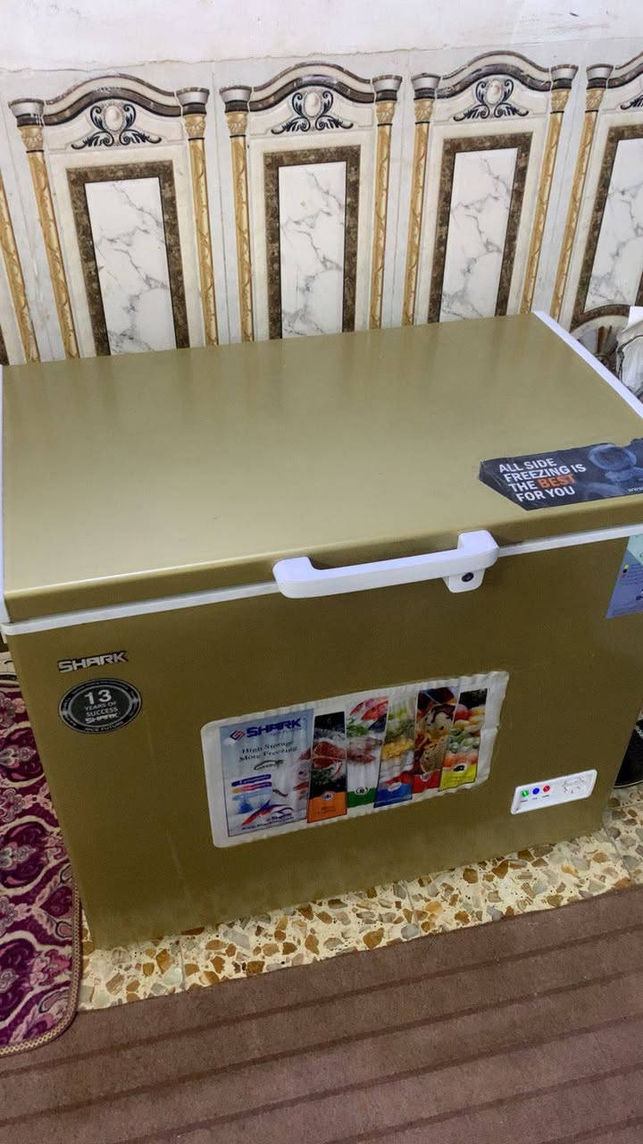 مجمدة شارك استعمال قليل كلش حجمها 13 قدم ب 225 الف مكاني بغداد كفاءات السيدية


**إذا كنت صاحب هذا الإعلان وتريد حذفه لأي سبب، رجاءا أرسل رسالة إلى الدعم الفني**