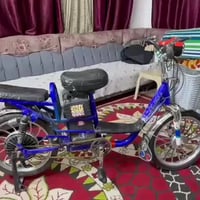 دراجة شحن • حجم ٢٠ • ٤ بطاريات