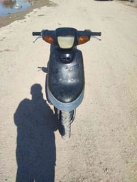 زعره • شغاله • سلف