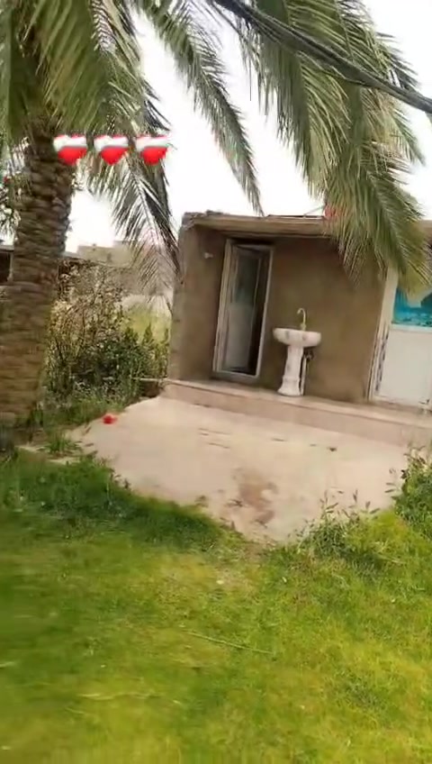 بستان وبيت للبيع البستان يحتوي على ثمانين نخله حماله من اجود انواع النخيل مساحته ثنين دونم ويسقا من شط الوصخير وبيت المساحه ميتين وخمسين متر يحتوي على ثلاثه غرف نوم اربعه في سته وهول ثنعش متر وبراني ثنعش متر ومطبخ اربعه في سته وحمامات خارجيه وداخليه ارض زراعيه ال سيد سلطان وطريق تبليط لحد باب البيت***********
