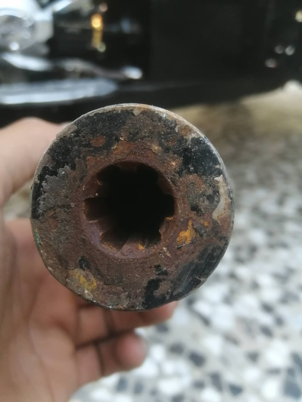 للبيع شراي خادمك ماتشتري لاتعلق فدوه روحلك كير وكاردن شرط كلشي مابيهن نضاف قيم ب اليرضي الله


**إذا كنت صاحب هذا الإعلان وتريد حذفه لأي سبب، رجاءا أرسل رسالة إلى الدعم الفني**