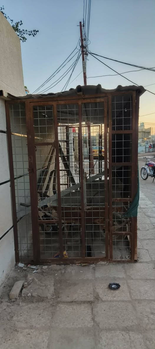 السلام عليكم واجها نضيفه طول 4 متار العرض 150:150 مكاني العماره حي الشهداء السايدين  سعر 250 وبيها مجال


**إذا كنت صاحب هذا الإعلان وتريد حذفه لأي سبب، رجاءا أرسل رسالة إلى الدعم الفني**