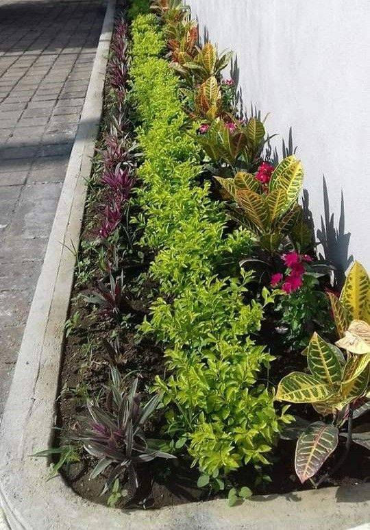 عمل وترتيب حدائق
تنظيف. وتقليم الحدائق
عمل منظوات سقي 
عملنا داخل كربلاء
***********
