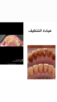 شارع اربعين • مجاور صيدلية سلامتك • سعر الباص