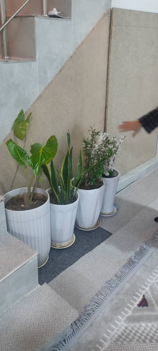 مرحبا عندنا هاي 33 شطل للبيع سعر 125


**إذا كنت صاحب هذا الإعلان وتريد حذفه لأي سبب، رجاءا أرسل رسالة إلى الدعم الفني**