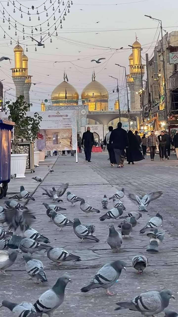 #حمــــــــــلة_زياد تعلن حملتنه  غدا الربعاء الى الامام الكاضم   سعر النفر 5
🛑الذهاب ألساعة    1ونص الضهر  والعوده  ، 9اليلا
اجيك اقرب نقطه داله  
باص🚍 سياحي💺 حديث😍 ومكيف    ***********  واتساب   ***********
