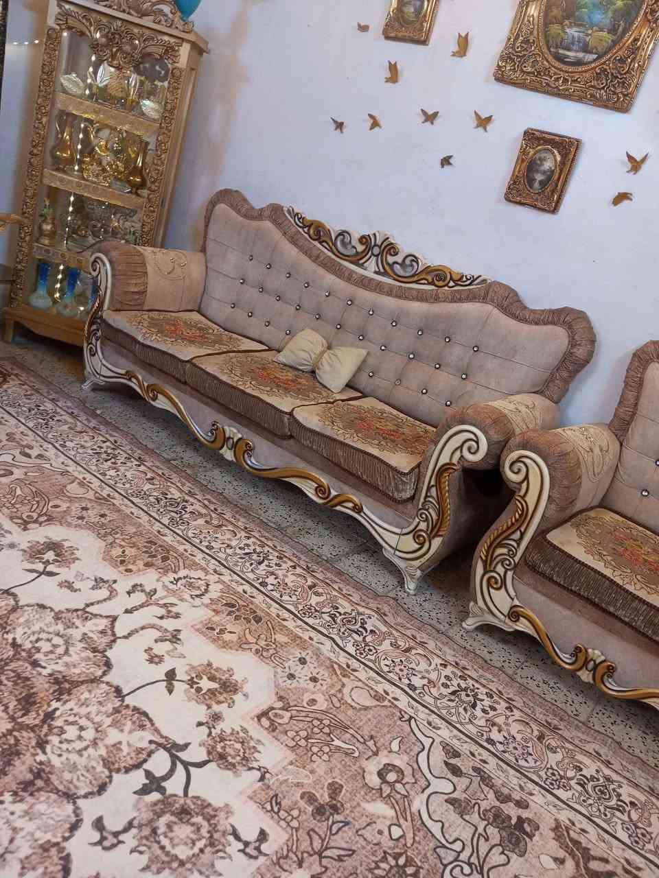 تخم زان تركي عشر مقاعد نظافه فول لسعر 500بي مجال بسيط مكان مشتل شارع لمطبك *********** بغداد, العراق

