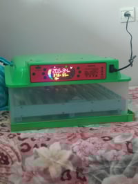 فقاصة بيض • 60حبة • جديد