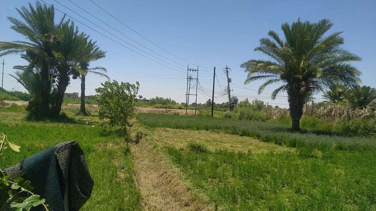 سلام عليكم كاع للبيع ارض زراعيه دونمين مع بيت بيهه كافت الخدمات قريه النصار قرب الحاج بيت طعمه صياح شراي يجي يشوفهه اول بدايه بي خير ويدلل الخدمات الماء الكهرباء تبليط سحب 
*********** اتصال على الرقم
